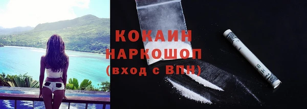 спайс Арсеньев