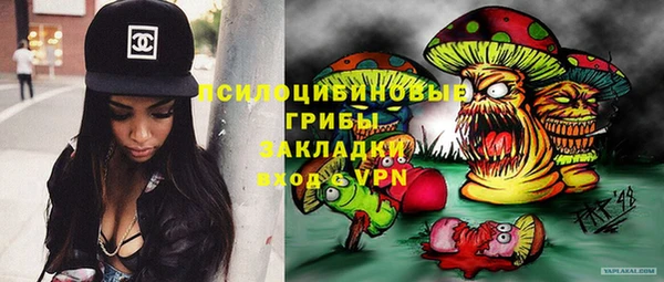 спайс Арсеньев