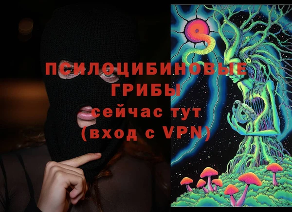 ПСИЛОЦИБИНОВЫЕ ГРИБЫ Алзамай