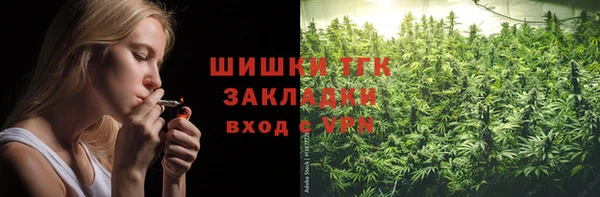 спайс Арсеньев