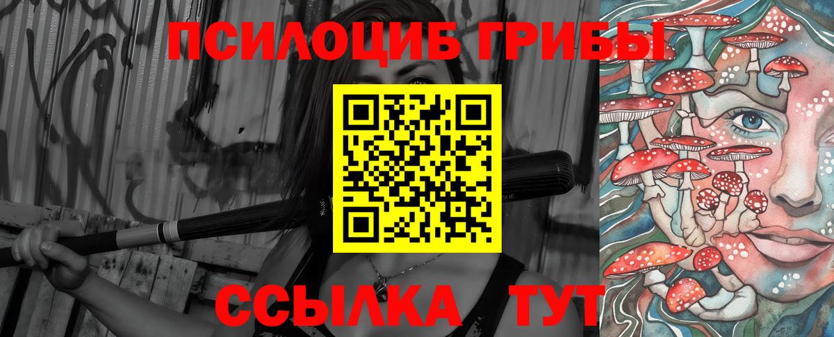 Псилоцибиновые грибы Psilocybine cubensis Казань