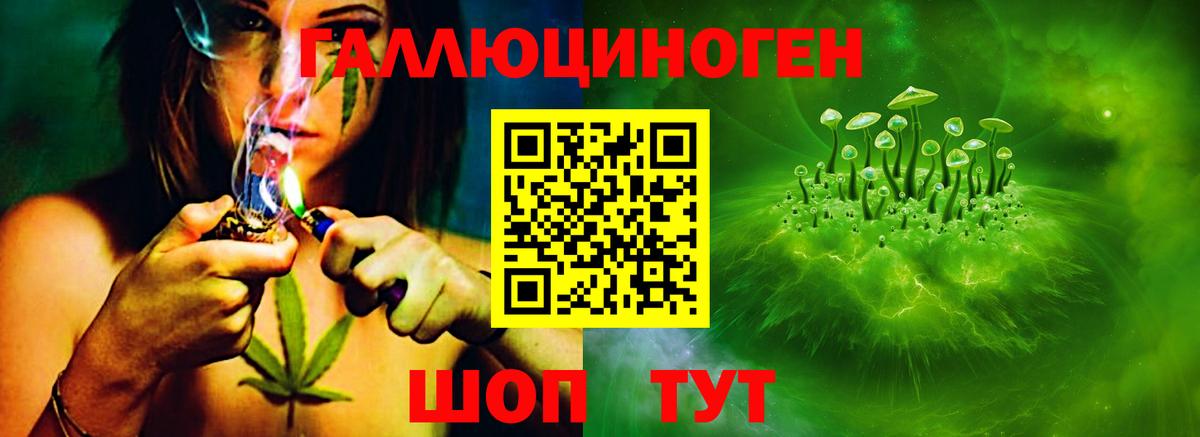 Псилоцибиновые грибы Cubensis  Галлюциногенные грибы Magic Shrooms  Казань  Вход с VPN 