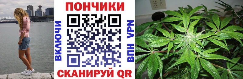 Канабис планчик  мега ССЫЛКА  Казань 
