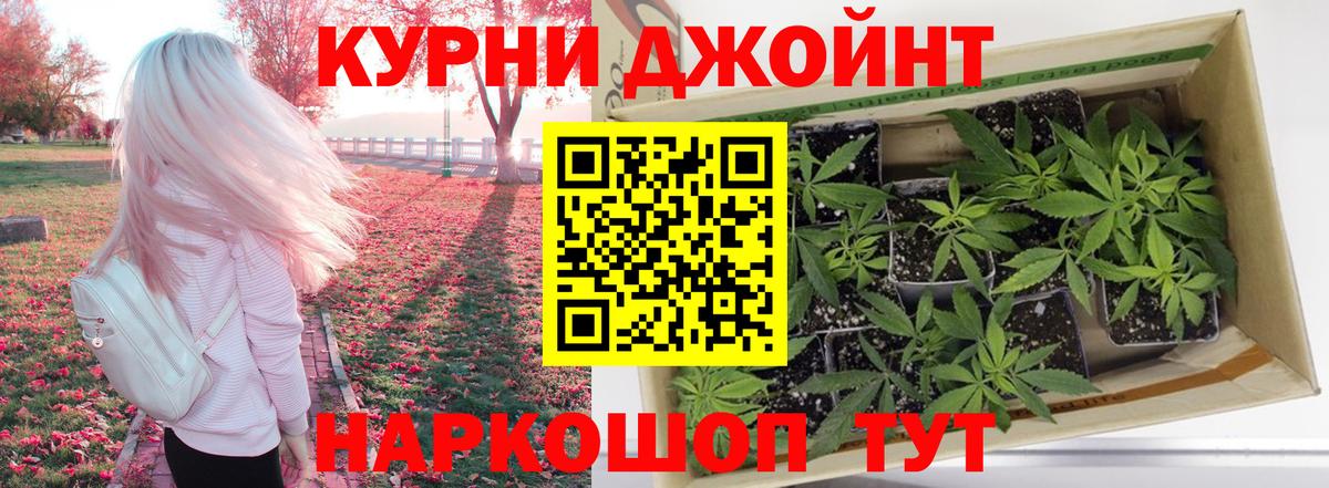 Бошки марихуана MAZAR  МАРИХУАНА тримм  Казань  Канабис индика  Вход с VPN 