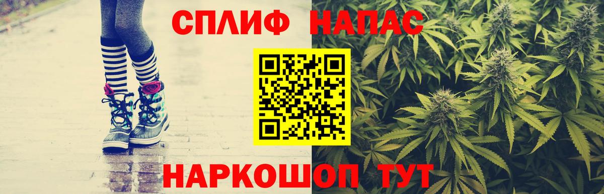 Бошки Шишки план Казань